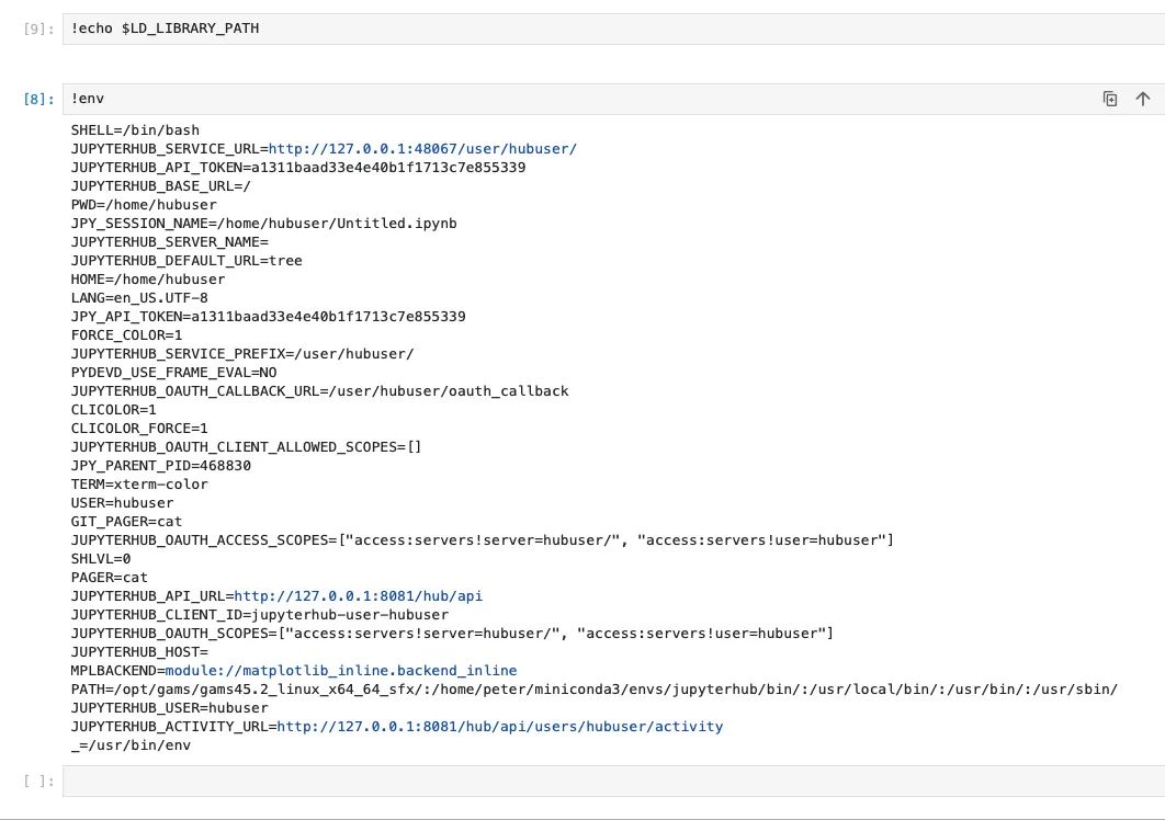 是的,最终没有成功,jupyterhub貌似忽略了systemd的环境变量