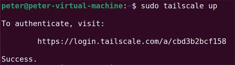 使用命令启动tailscale,然后访问地址进行验证就成功了